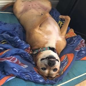 Meet your Posher, Michelle